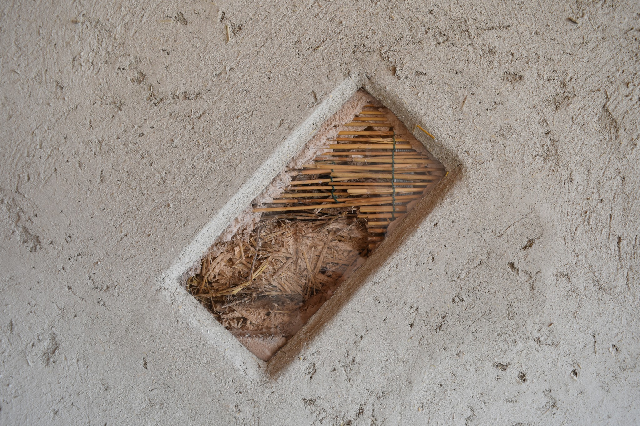 Abitazione ecosostenibile